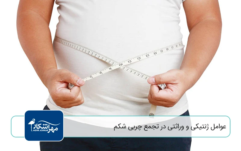 عوامل ژنتیکی و وراثتی در تجمع چربی شکم
